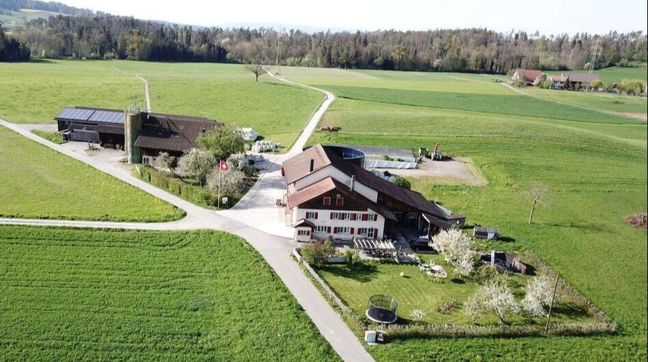Tochter Kalb Guggenbühl